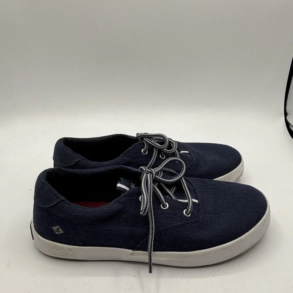 Sperry Men's Navy Casual Shoes